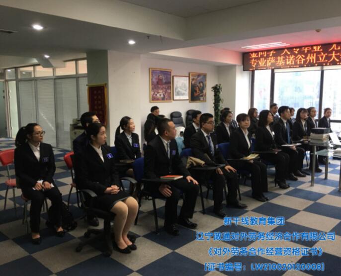 新干線教育集團簡介、新干線教育集團組成